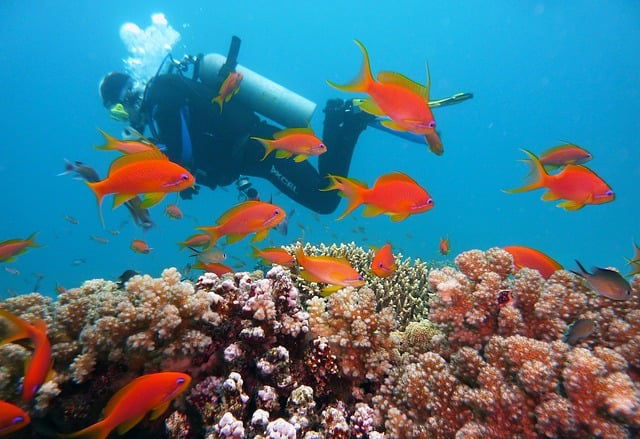 Excursie Circuit egiptul-antic-si-modern