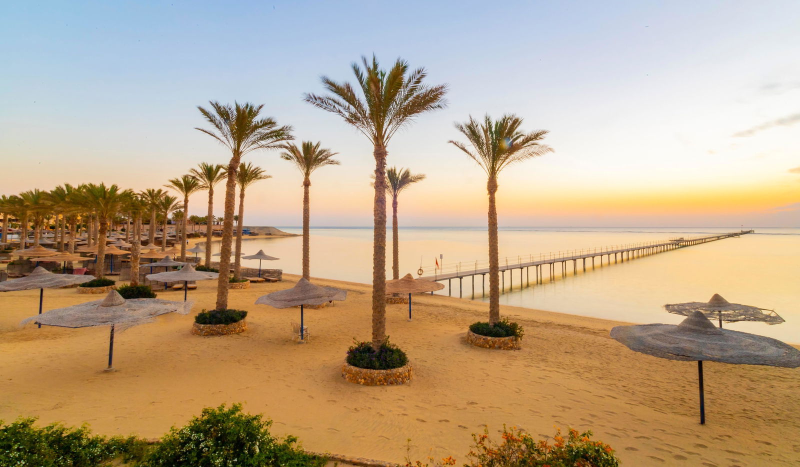 Hotel Blend Elphistone Resort