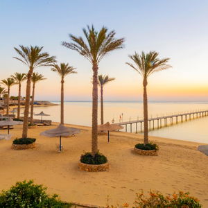 Hotel Blend Elphistone Resort cazare Marsa Alam