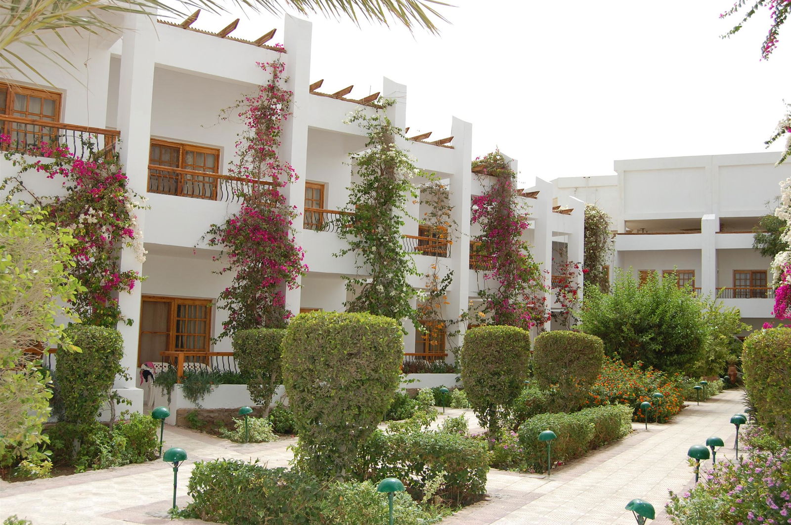 Hotel Menaville Safaga