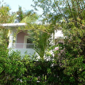 Sejur Hotel Riu Bambu vacanta Punta Cana