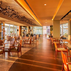 Sejur Saccharum vacanta Calheta