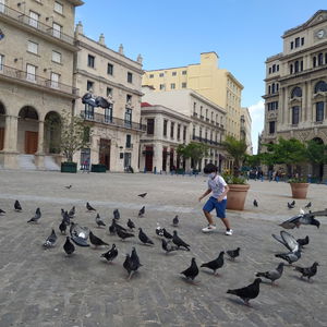 Hotel Palacio De Los Corredores cazare Havana