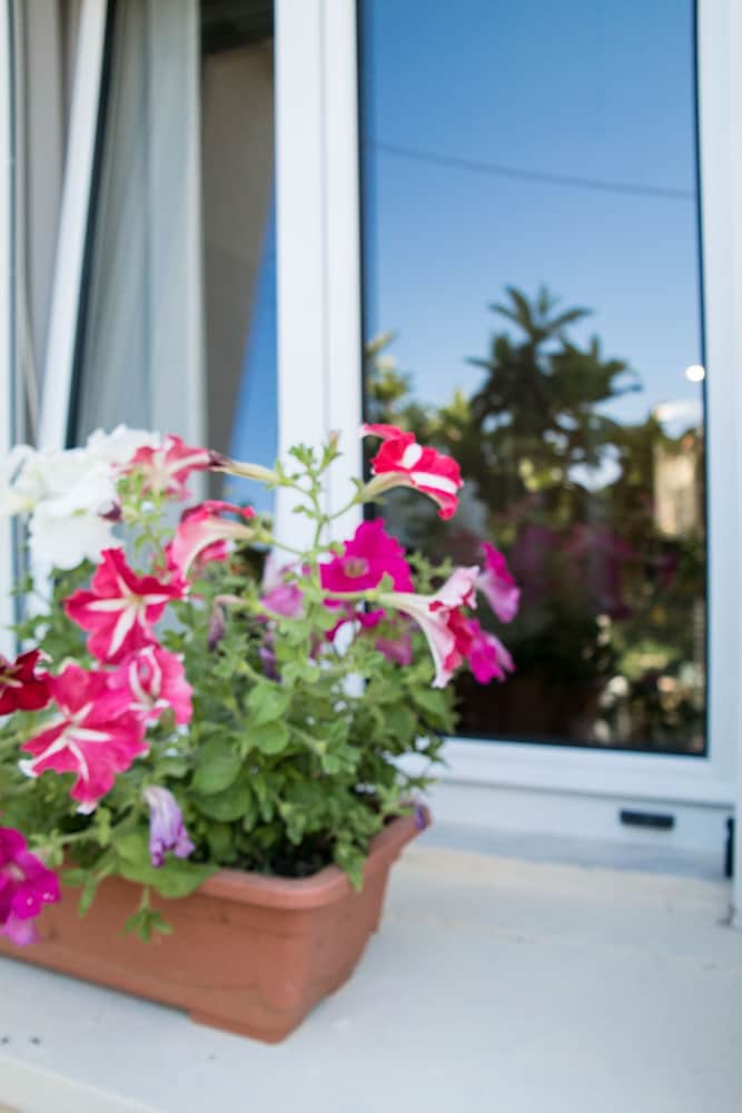 Hotel Alexandra Apartments