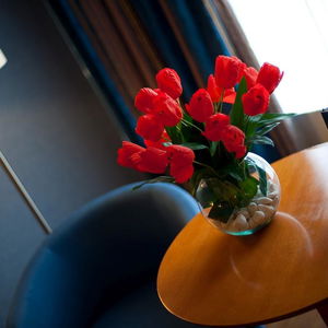 Sejur Elba Vecindario Aeropuerto Business And Convention vacanta Gran Canaria