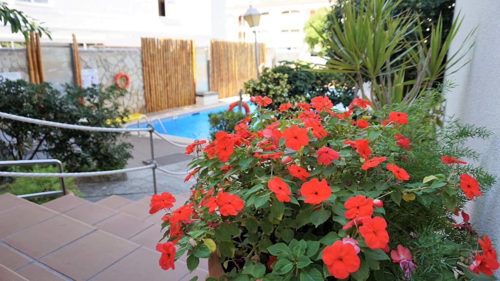 Hotel Playas Del Rey