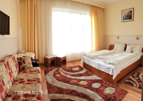 Hotel Pensiunea Veronica