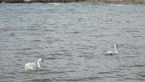 Hotel Akrotiria Beach Apart Complex