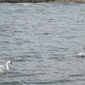 Hotel Akrotiria Beach Apart Complex cazare Nesebar