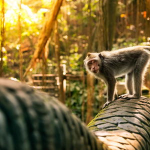 Sejur Fox Harris Jimbaran Beach vacanta Jimbaran