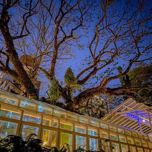 Hotel Sino House cazare Ko Phuket