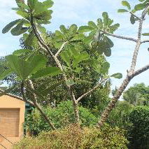 Hotel Villa Escondite cazare Colombo