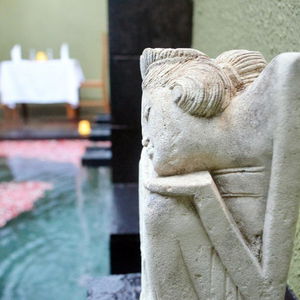 Hotel Jas Green Villas And Spa cazare Seminyak