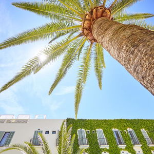 Hotel Cupido Boutique Hotel cazare Peguera