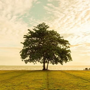 Hotel Ana Anan Resort & Villas Pattaya cazare Pattaya