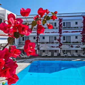 Hotel Ariadne Hotel cazare CRETA - CHANIA