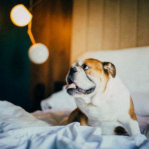 Hotel Icon Rosetó cazare Palma