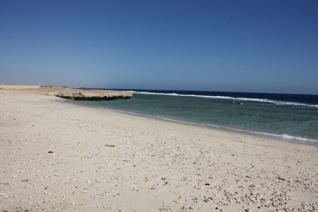 Hotel Beachsafari Resort