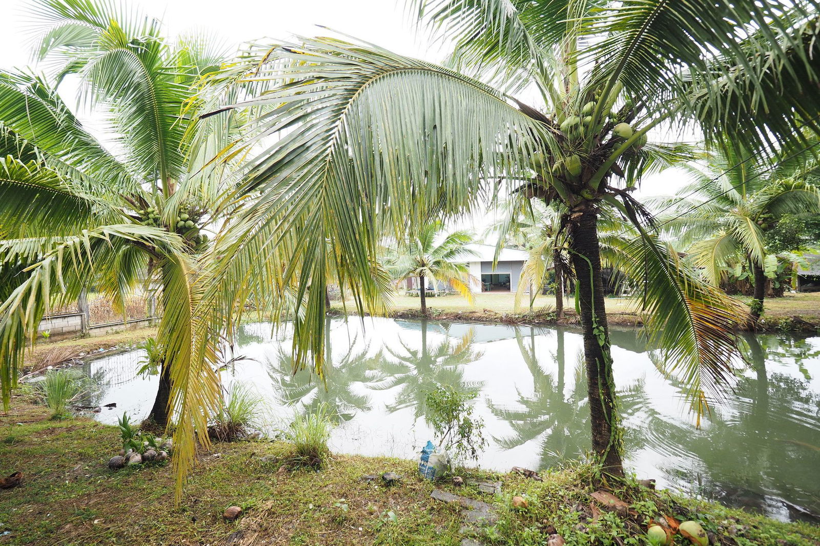 Hotel Sai Rung Resort