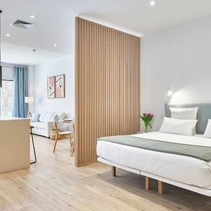 Hotel Paseo Suites Hotel cazare Madrid