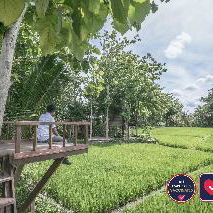 Hotel Kajane Yangloni cazare Ubud