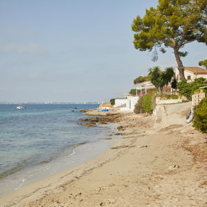 Hotel Inmood Aucanada cazare Alcudia