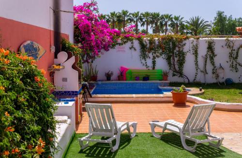 Hotel Hostel La Tortuga