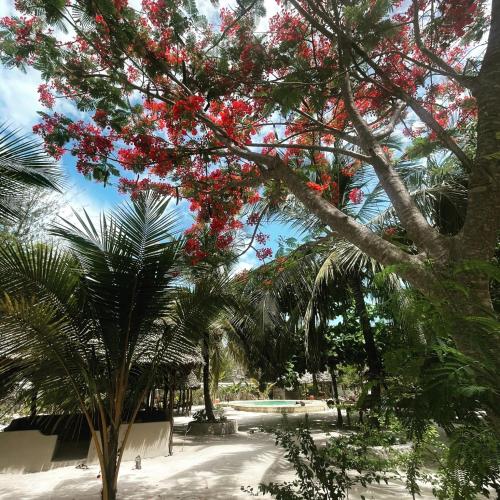 Hotel Mpole Bungalows