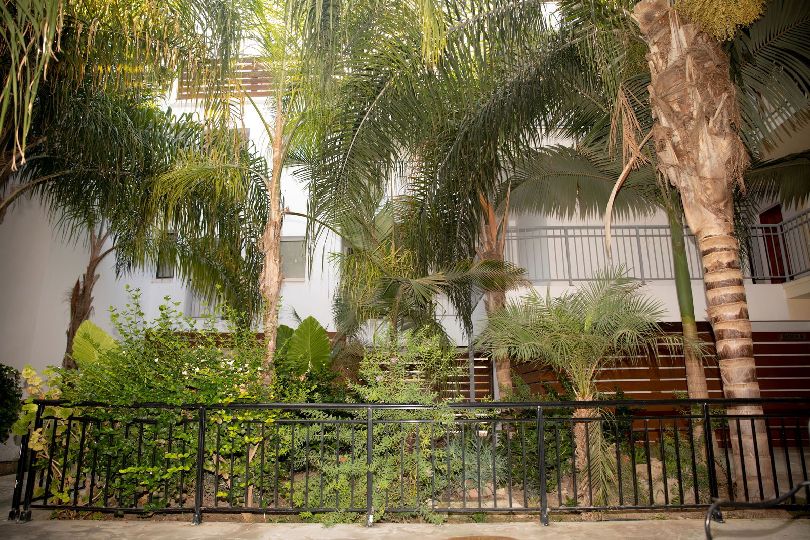 Hotel Alecos Hotel Apartments