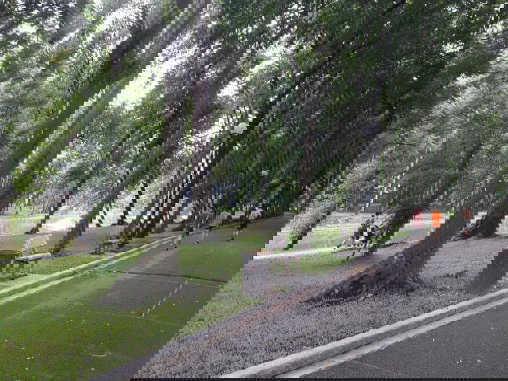 Hotel Green Homestay Ha Noi