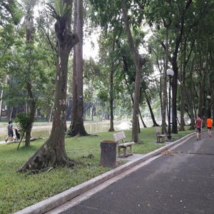 Sejur Green Homestay Ha Noi vacanta Hanoi