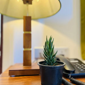 Hotel J Leaf Hotel By Blue Bird cazare Negombo