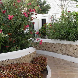 Hotel Los Cardones Boutique Village cazare Playa de las Americas