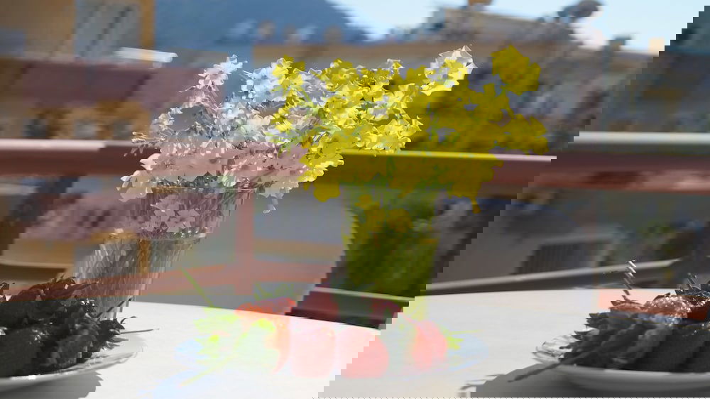 Hotel Baronessa Apart Hotel