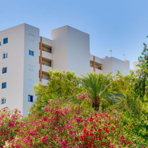 Sejur Apartamentos Las Palomas Econotels vacanta Palmanova