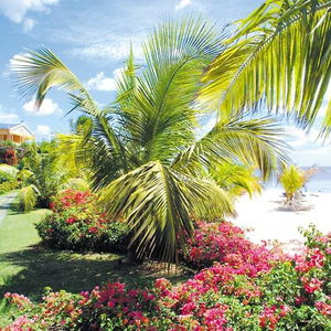 Hotel Victoria Beachcomber Resort & Spa cazare Pointe aux Piments