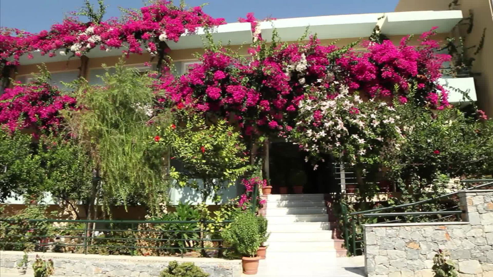 Hotel Dedalos Beach Hotel