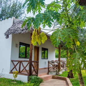 Hotel Nungwi Garden Boutique Hotel cazare Nungwi