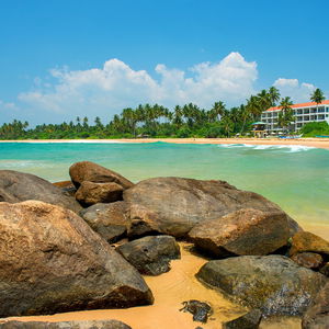 Sejur Shinagawa Beach vacanta Balapitiya