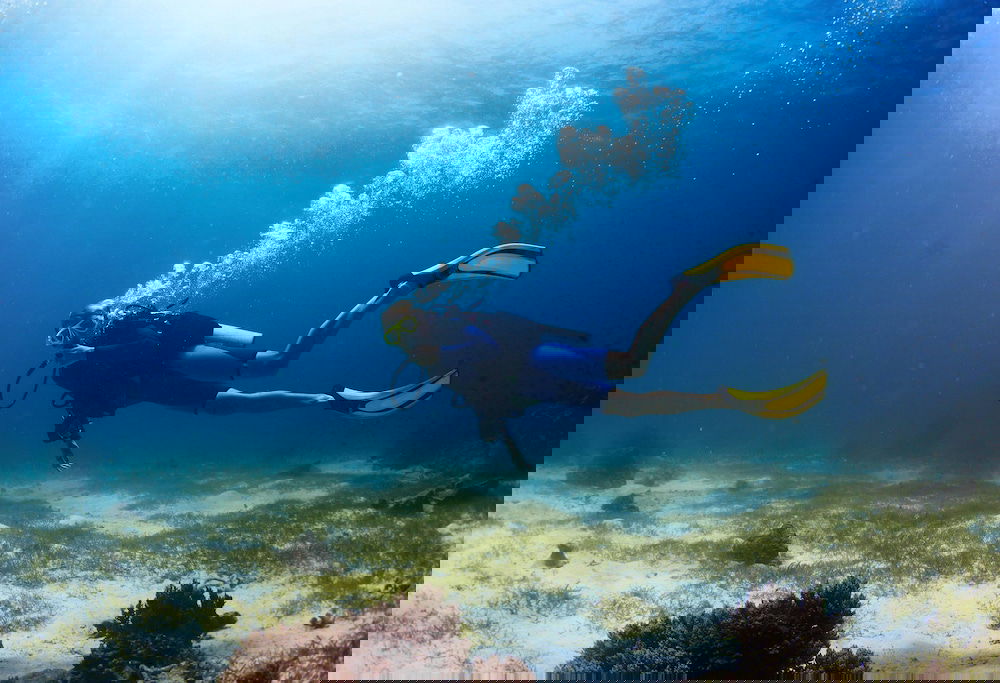 Hotel Evilion Sea And Sun