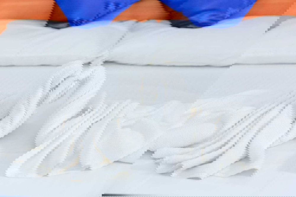 Hotel Estro Guesthouse