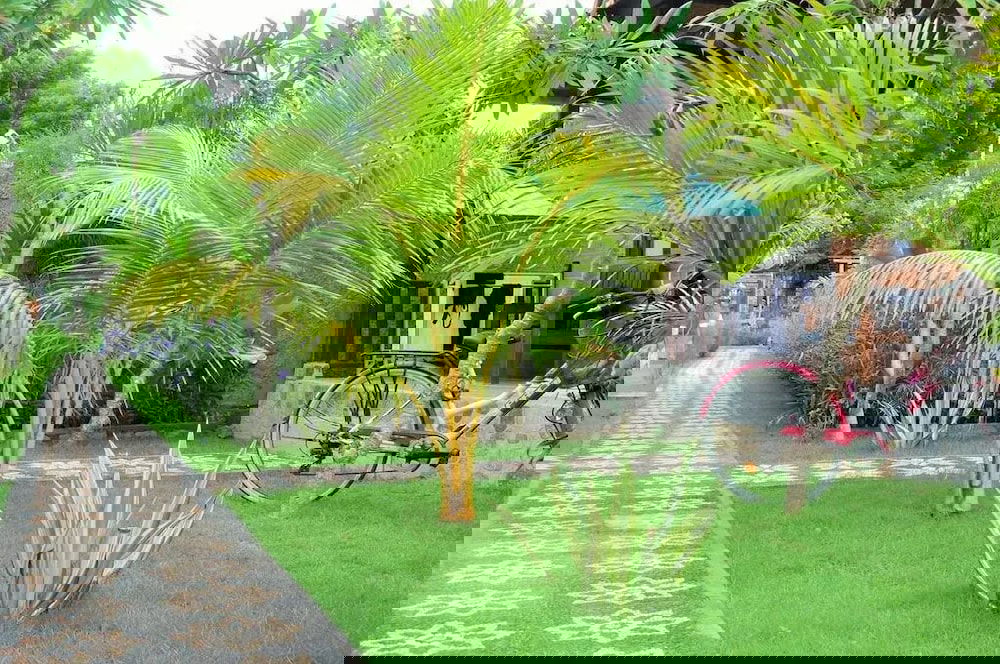 Hotel Exotic View Cottage