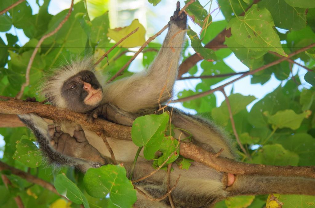 Hotel Kimte Beach Lodge