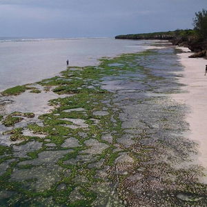 Hotel Sunshine Marine Lodge cazare Zanzibar Island