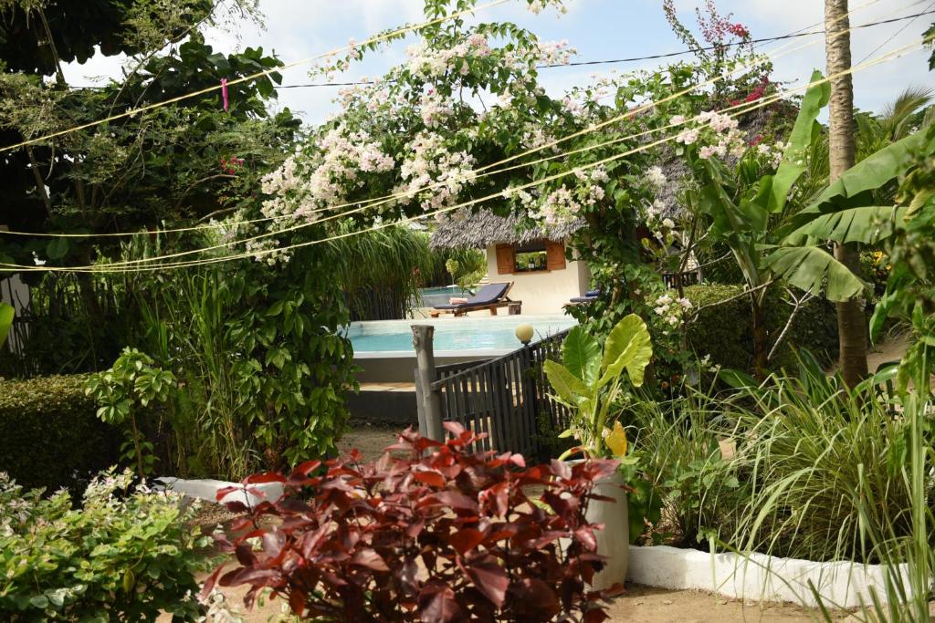 Hotel Shamba Village Hotel