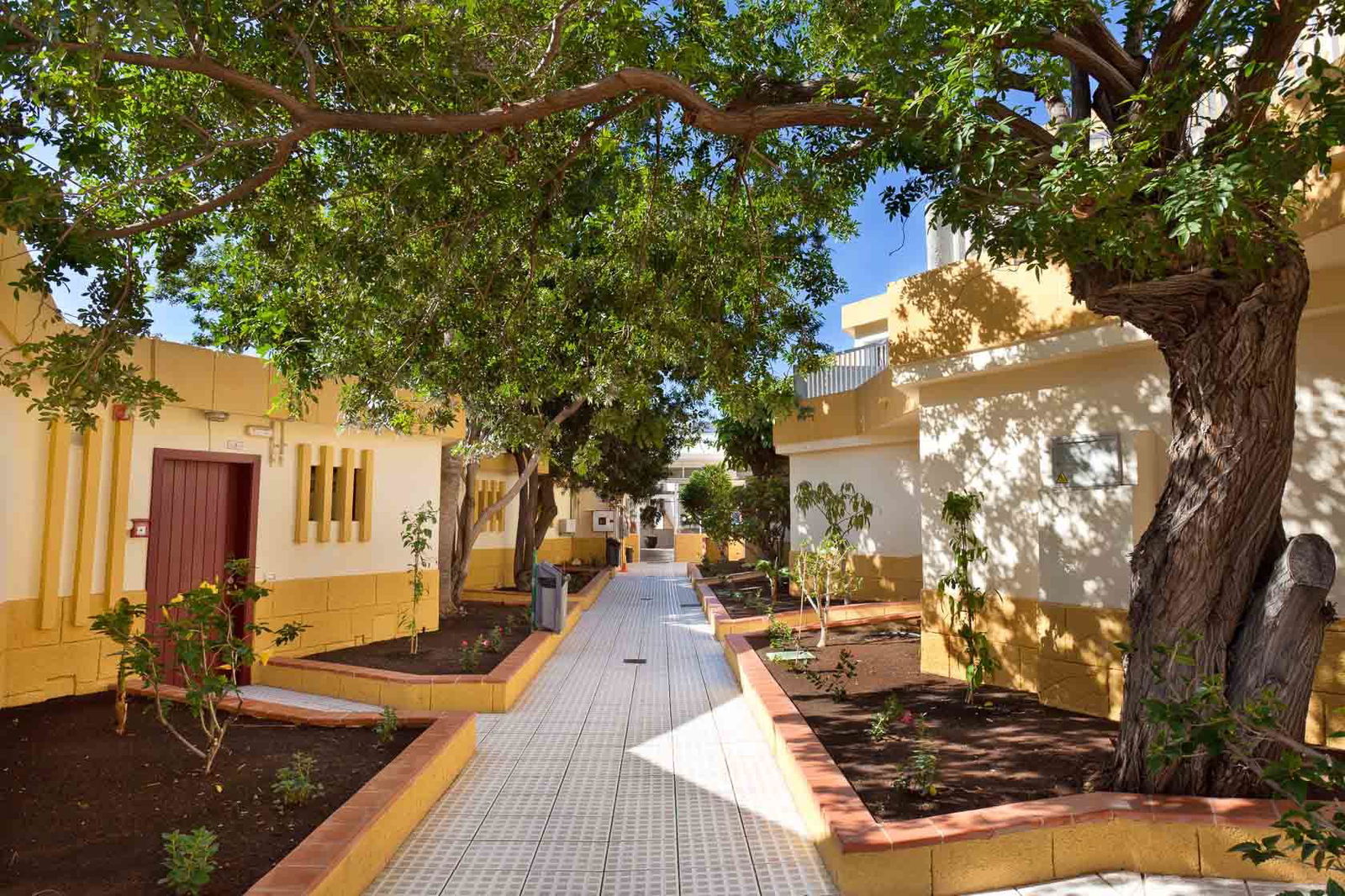 Hotel Checkin Bungalows Atlantida