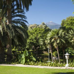 Hotel Botanico And The Oriental Spa Garden cazare Tenerife