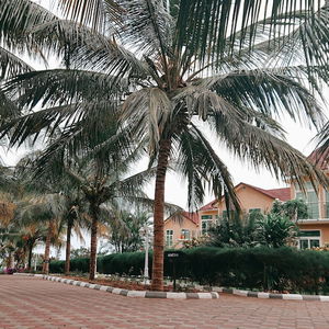 Hotel Royal Cliff Zanzibar cazare Zanzibar City