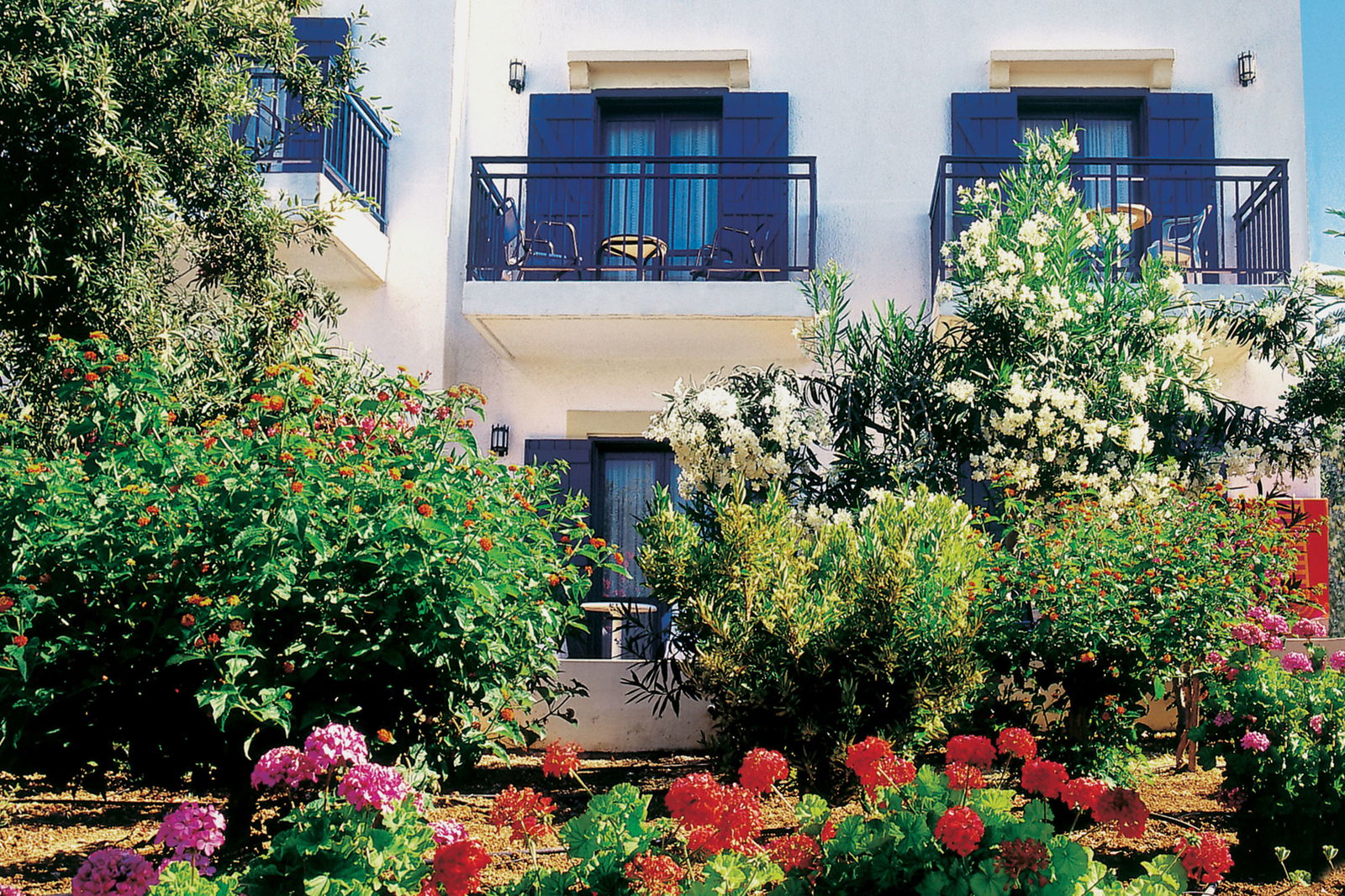 Hotel Chrissi Amoudia Hotel