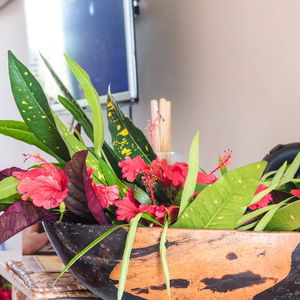 Hotel Villa Kiva cazare Zanzibar Island